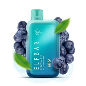 ELF BAR RAYA D1  Blueberry Mint | Vape Shop Delhi