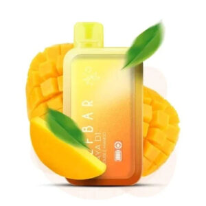 Elfbar Raya D1  Double Mango | Vape Shop Delhi