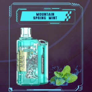 IGET FLARE B10000  Mountain Spring Mint | Vape Shop Delhi