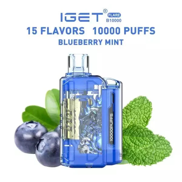 IGET FLARE B10000  Blueberry Mint | Vape Shop Delhi